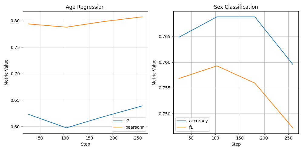 Age Regression, Sex Classification