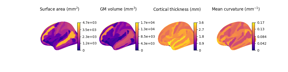 Surface area ($mm^2$), GM volume ($mm^3$), Cortical thickness ($mm$), Mean curvature ($mm^{-1}$)