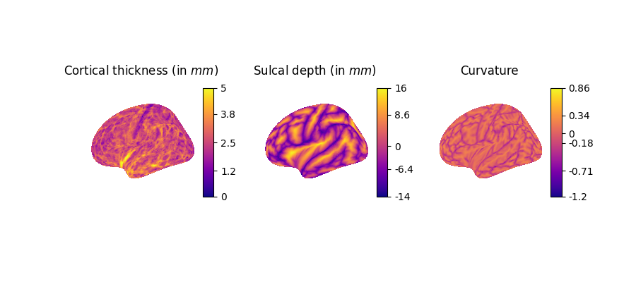 Cortical thickness (in $mm$), Sulcal depth (in $mm$), Curvature